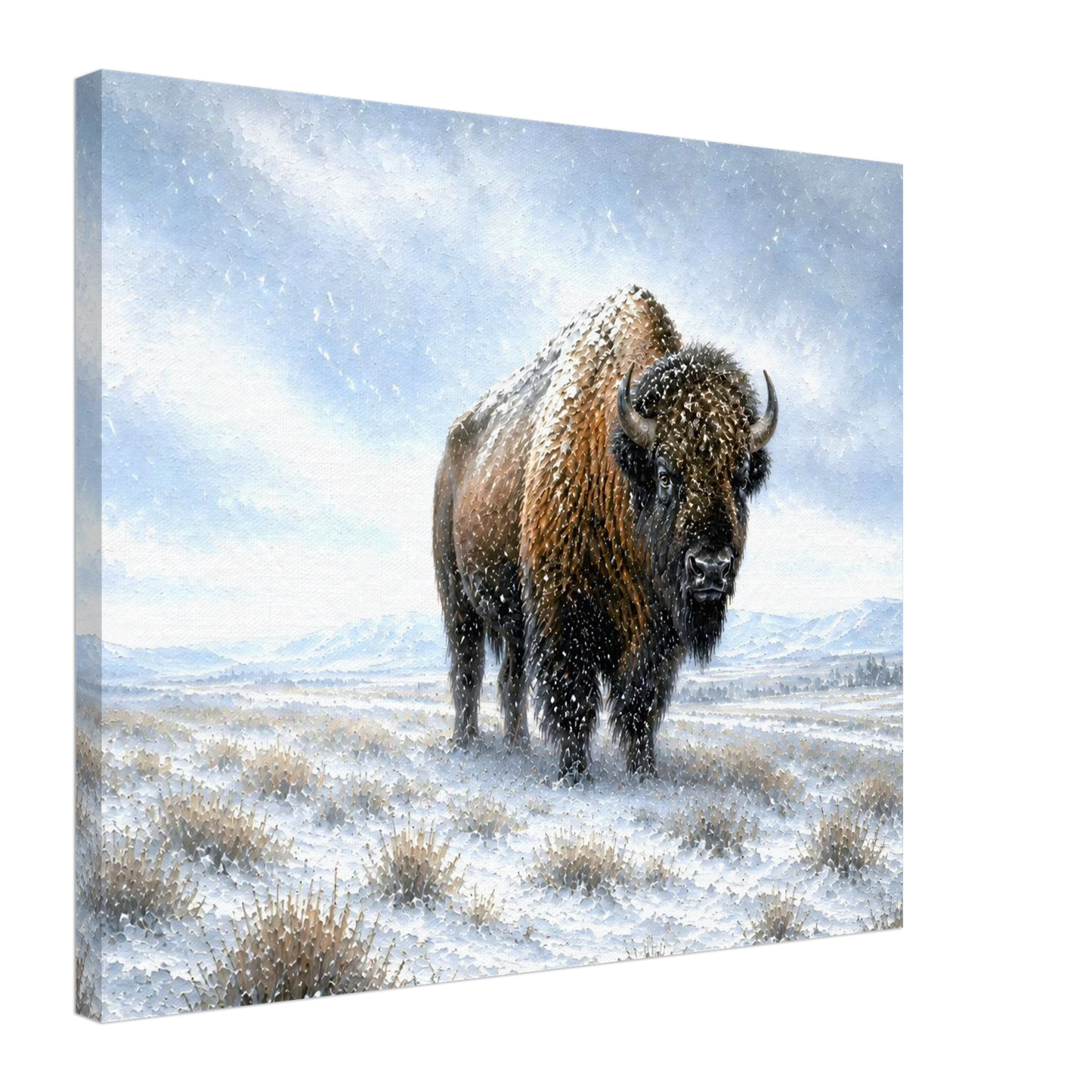 Winter Sentinel bison canvas print — view 3