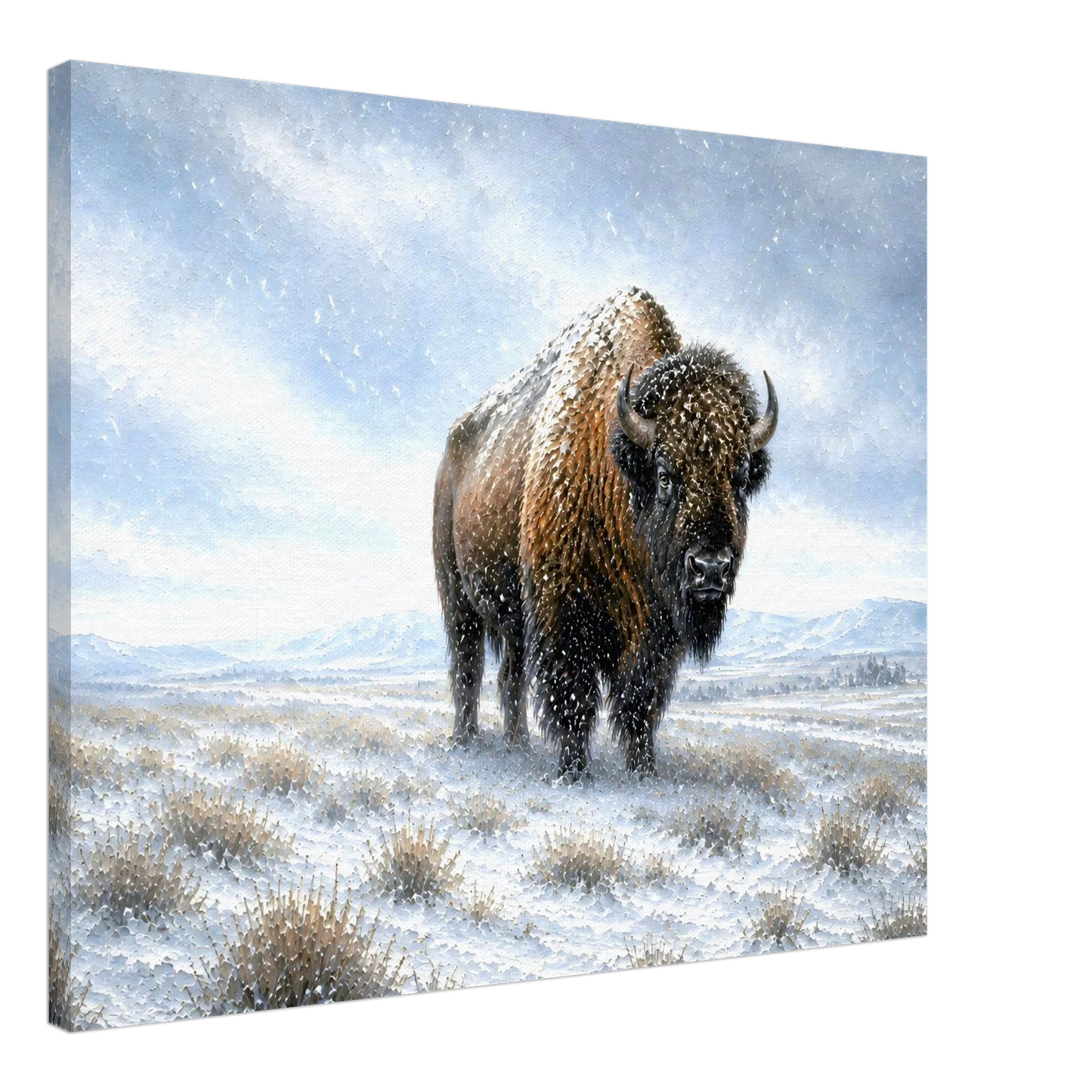 Winter Sentinel bison canvas print — view 2
